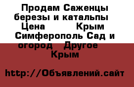  Продам Саженцы березы и катальпы › Цена ­ 500 - Крым, Симферополь Сад и огород » Другое   . Крым